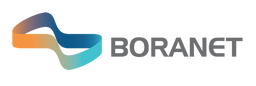 Boranet Logo